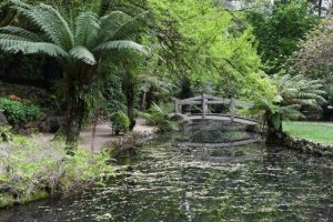 Historic gardens up for heritage protection