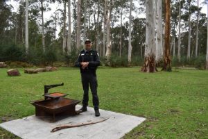 Exercising campfire caution this spring