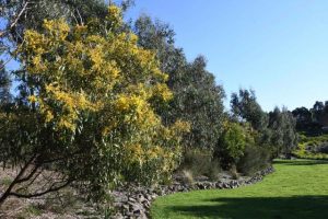 New city skyline now complete at Ferntree Gully Quarry Reserve