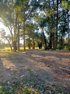 Knox City Council using Roundup Biactive