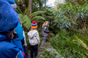 Dandenong Ranges a place of exploration for Junior Rangers