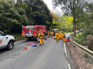 CFA called to rescue after local woman and her son fall down embankment