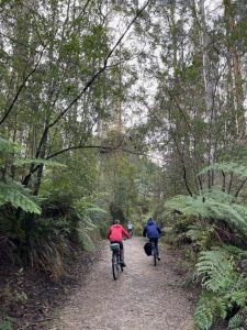 Pedalling your way through the Dandenongs