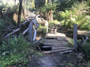 Tracks still closed