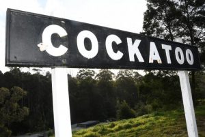 Tiny Towns Fund gives Cockatoo a $50,000 boost