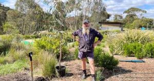 River Red Gum planted at Ferntree Gully’s Quarry Reserve