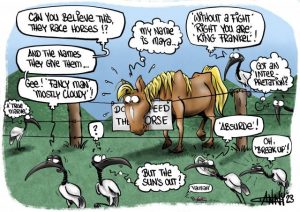 CARTOON: Melbourne Cup controversy