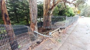 ‘Fatality waiting to happen’: calls for added safety measures near school on Belgrave-Gembrook Road