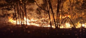 Threat of bushfire for Yarra Ranges residents reaffirmed