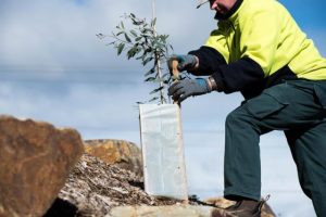 Yarra Ranges Council approves updated nature plan