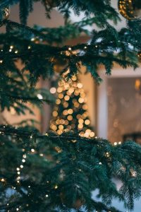 Community Christmas Carols bring cheer for all!
