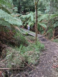 Wattle Track Bridge repair in sight