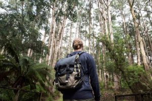Art in nature, iconic location announced