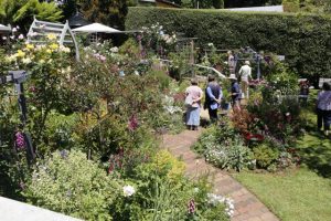 Garden shared once again