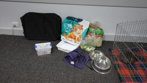 Consider pets and livestock for bushfire plans