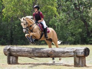 Key fundraiser approaches for Seville Pony Club