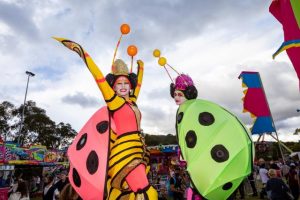 Knox Festival returns in 2024