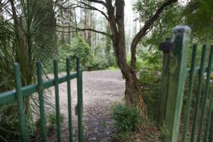 New Mount Dandenong Preschool building to be built at Mount Dandenong Primary School