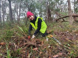 FoHH’s Amy Gregorovich nominated as finalist for Victorian Young Volunteer award