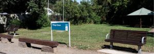 What do you love most about the Sassafras Village Green?