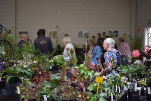 Mini Plant Expo at FCHS