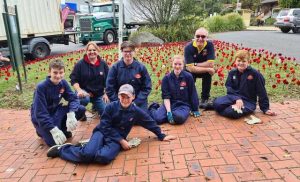 Poppies dress Emerald for Anzac Day