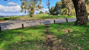 Petition builds anger over proposed school
