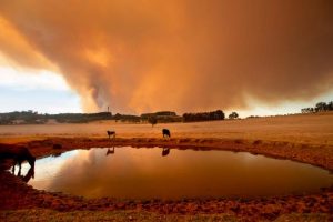 Presenting a clearer picture of fire risk