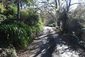 Pleas for upgrades on dangerous Kallista roads