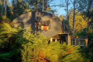 Sustainable Kallista Log House hits the market