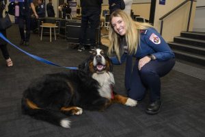 Ambulance Victoria grad takes to Belgrave