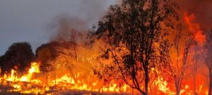 Planned burns scheduled in Yarra Valley