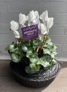 Mother’s day scam alert for shoppers