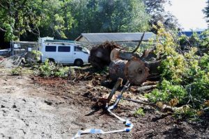 Cardinia Council takes over storm clean-up effort