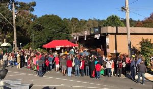 Upwey treasure trove returns