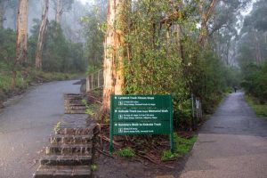 Multiple calls for assistance in 24-hours puts SES Emerald in a ‘unique situation’