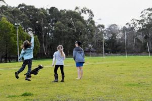 EPA releases an Upwey School Primary update