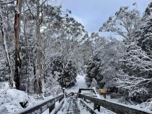 Low Cost winter activities for these school holidays.
