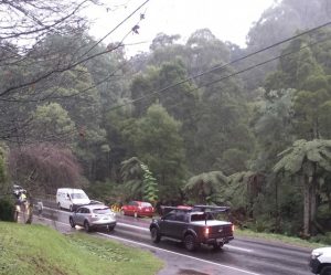 Multiple collisions in Monbulk, two cars towed away, one fled the scene