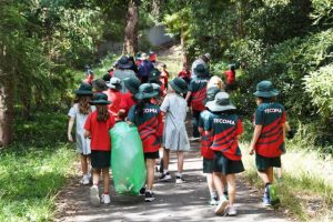 Rail trail upgrades