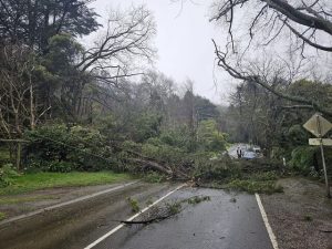 Wet weather causes several disruptions in The Dandenongs