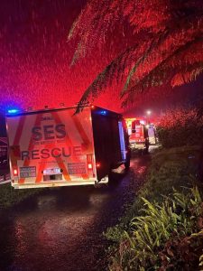 Tree collapse leaves house in ruins