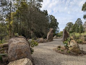 Cloud forest launched in Olinda