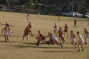 Hawks exact revenge on Lions