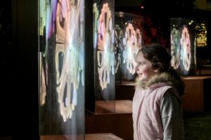 Immerse provided ‘rare’ opportunities for artists