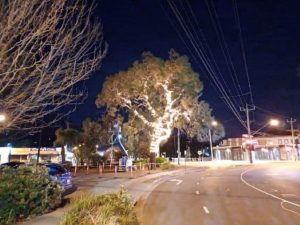 New lights freshen up Ferntree Gully