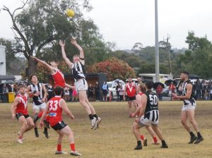 Healesville are Premiers for 2024