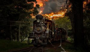 Introducing Twilight Trains on Thursdays at Puffing Billy Railway