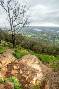 Five reasons to visit Olinda