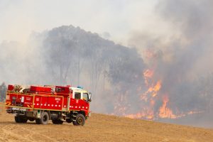 Bushfire safety overlooked by nearly half of Victorians in risk areas, survey finds